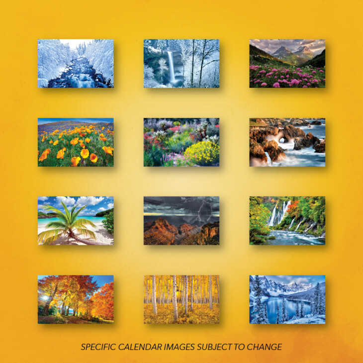 Collage of each monthly calendar image for Four Seasons Calendar